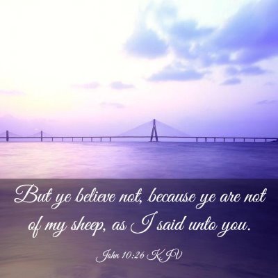 Picture 03 - John 10:26 KJV - But ye believe not, because ye are not of my - Bible Verse Picture