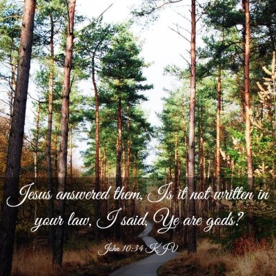 Picture 03 - John 10:34 KJV - Jesus answered them, Is it not written in your - Bible Verse Picture