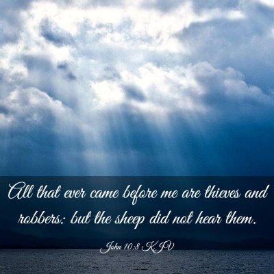 Picture 03 - John 10:8 KJV - All that ever came before me are thieves and - Bible Verse Picture