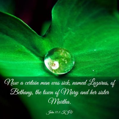 Picture 03 - John 11:1 KJV - Now a certain man was sick, named Lazarus, of - Bible Verse Picture