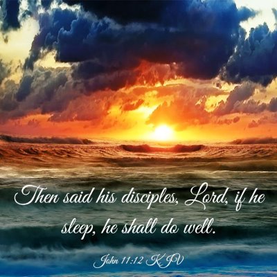 Picture 03 - John 11:12 KJV - Then said his disciples, Lord, if he sleep, he - Bible Verse Picture