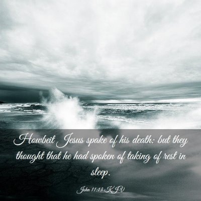 Picture 03 - John 11:13 KJV - Howbeit Jesus spake of his death: but they - Bible Verse Picture