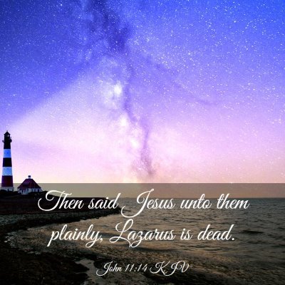 Picture 03 - John 11:14 KJV - Then said Jesus unto them plainly, Lazarus is - Bible Verse Picture