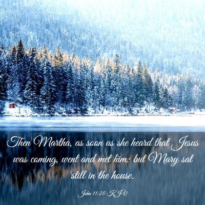 Picture 03 - John 11:20 KJV - Then Martha, as soon as she heard that Jesus was - Bible Verse Picture