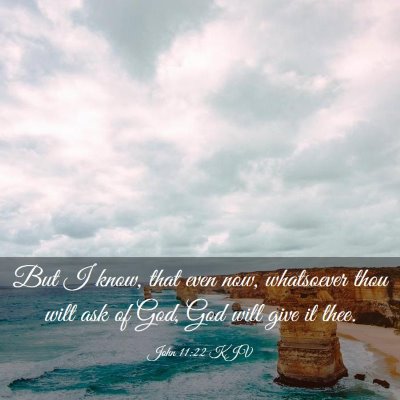 Picture 03 - John 11:22 KJV - But I know, that even now, whatsoever thou wilt - Bible Verse Picture