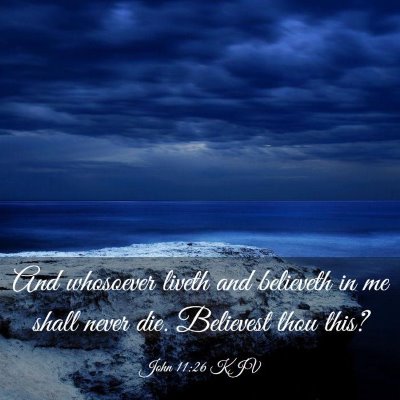 Picture 03 - John 11:26 KJV - And whosoever liveth and believeth in me shall - Bible Verse Picture