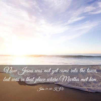 Picture 03 - John 11:30 KJV - Now Jesus was not yet come into the town, but was - Bible Verse Picture