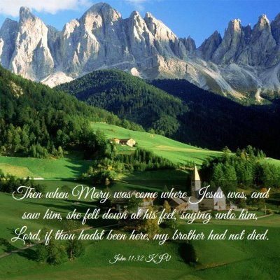 Picture 03 - John 11:32 KJV - Then when Mary was come where Jesus was, and saw - Bible Verse Picture