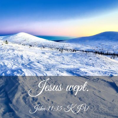 Picture 03 - John 11:35 KJV - Jesus - Bible Verse Picture
