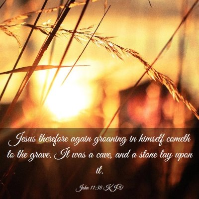 Picture 03 - John 11:38 KJV - Jesus therefore again groaning in himself cometh - Bible Verse Picture