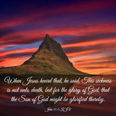 Picture 03 - John 11:4 KJV - When Jesus heard that, he said, This sickness is - Bible Verse Picture