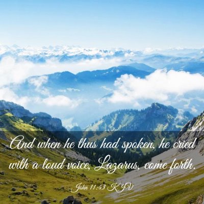 Picture 03 - John 11:43 KJV - And when he thus had spoken, he cried with a loud - Bible Verse Picture