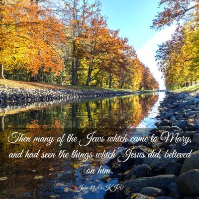 Picture 03 - John 11:45 KJV - Then many of the Jews which came to Mary, and had - Bible Verse Picture