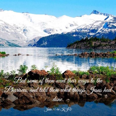 Picture 03 - John 11:46 KJV - But some of them went their ways to the - Bible Verse Picture