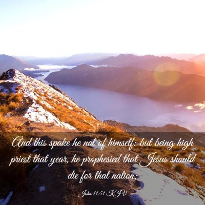 Picture 03 - John 11:51 KJV - And this spake he not of himself: but being high - Bible Verse Picture