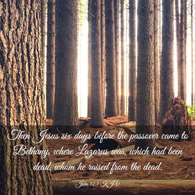 Picture 03 - John 12:1 KJV - Then Jesus six days before the passover came to - Bible Verse Picture