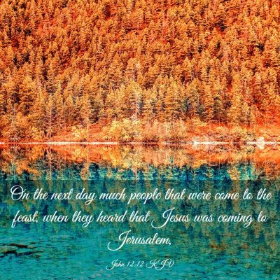Picture 03 - John 12:12 KJV - On the next day much people that were come to the - Bible Verse Picture