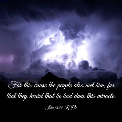 Picture 03 - John 12:18 KJV - For this cause the people also met him, for that - Bible Verse Picture
