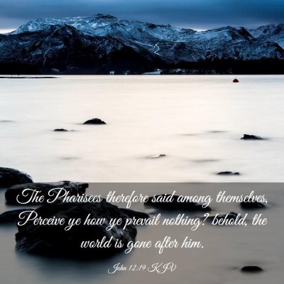 Picture 03 - John 12:19 KJV - The Pharisees therefore said among themselves, - Bible Verse Picture