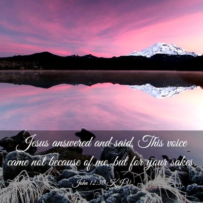 Picture 03 - John 12:30 KJV - Jesus answered and said, This voice came not - Bible Verse Picture