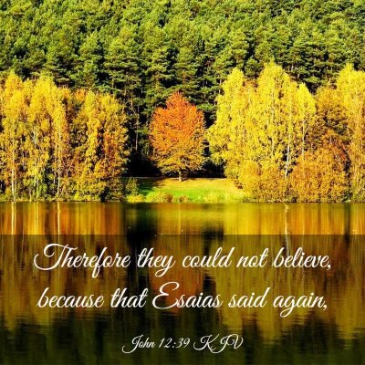 Picture 03 - John 12:39 KJV - Therefore they could not believe, because that - Bible Verse Picture