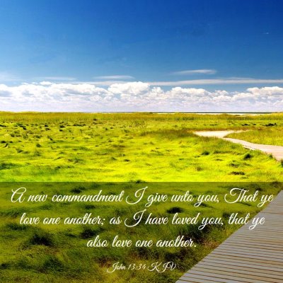 Picture 03 - John 13:34 KJV - A new commandment I give unto you, That ye love - Bible Verse Picture