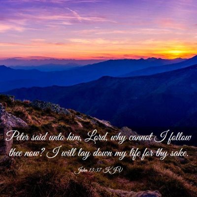 Picture 03 - John 13:37 KJV - Peter said unto him, Lord, why cannot I follow - Bible Verse Picture