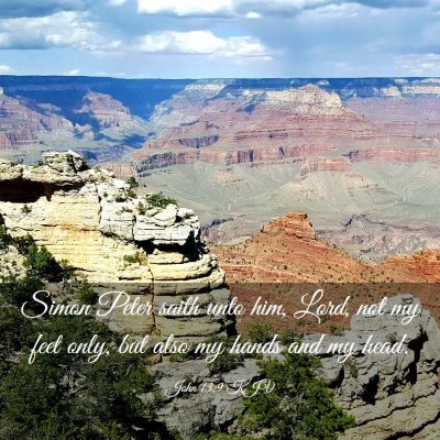 Picture 03 - John 13:9 KJV - Simon Peter saith unto him, Lord, not my feet - Bible Verse Picture