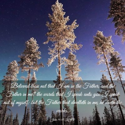 Picture 03 - John 14:10 KJV - Believest thou not that I am in the Father, and - Bible Verse Picture