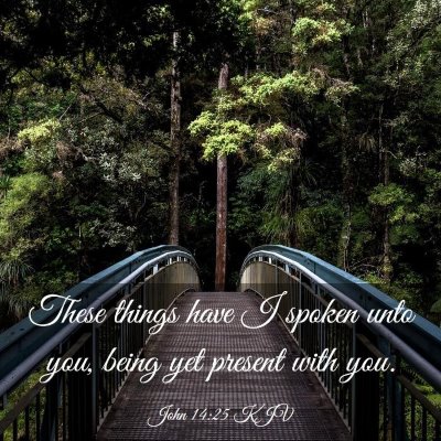 Picture 03 - John 14:25 KJV - These things have I spoken unto you, being yet - Bible Verse Picture