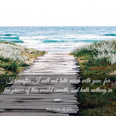 Picture 03 - John 14:30 KJV - Hereafter I will not talk much with you: for the - Bible Verse Picture