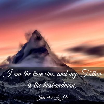 Picture 03 - John 15:1 KJV - I am the true vine, and my Father is the - Bible Verse Picture