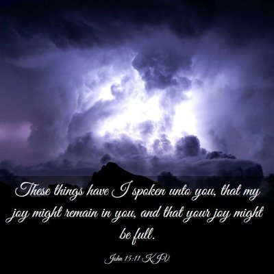 Picture 03 - John 15:11 KJV - These things have I spoken unto you, that my joy - Bible Verse Picture
