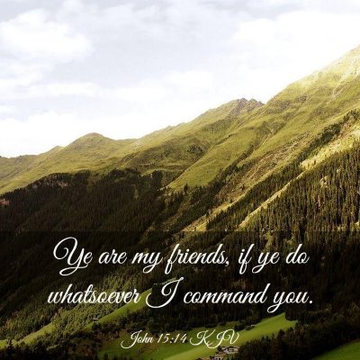 Picture 03 - John 15:14 KJV - Ye are my friends, if ye do whatsoever I command - Bible Verse Picture
