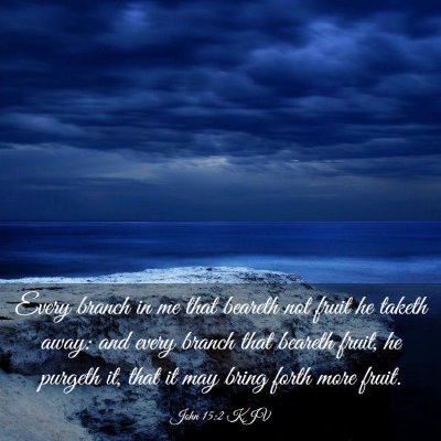 Picture 03 - John 15:2 KJV - Every branch in me that beareth not fruit he - Bible Verse Picture