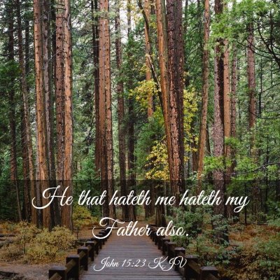 Picture 03 - John 15:23 KJV - He that hateth me hateth my Father - Bible Verse Picture