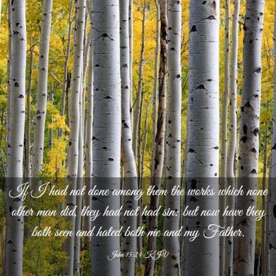 Picture 03 - John 15:24 KJV - If I had not done among them the works which none - Bible Verse Picture