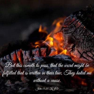 Picture 03 - John 15:25 KJV - But this cometh to pass, that the word might be - Bible Verse Picture