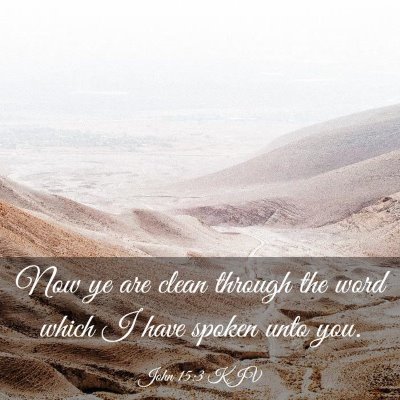 Picture 03 - John 15:3 KJV - Now ye are clean through the word which I have - Bible Verse Picture