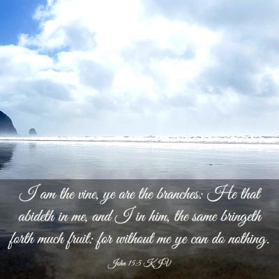 Picture 03 - John 15:5 KJV - I am the vine, ye are the branches: He that - Bible Verse Picture