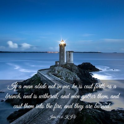 Picture 03 - John 15:6 KJV - If a man abide not in me, he is cast forth as a - Bible Verse Picture