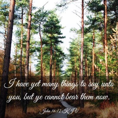 Picture 03 - John 16:12 KJV - I have yet many things to say unto you, but ye - Bible Verse Picture