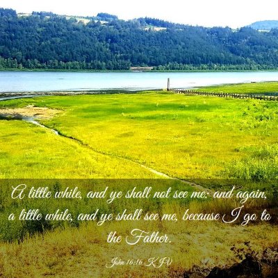 Picture 03 - John 16:16 KJV - A little while, and ye shall not see me: and - Bible Verse Picture