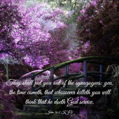 Picture 03 - John 16:2 KJV - They shall put you out of the synagogues: yea, - Bible Verse Picture