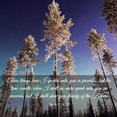 Picture 03 - John 16:25 KJV - These things have I spoken unto you in proverbs: - Bible Verse Picture