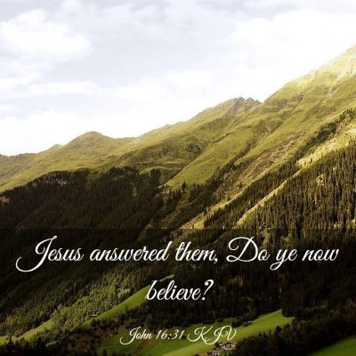 Picture 03 - John 16:31 KJV - Jesus answered them, Do ye now - Bible Verse Picture