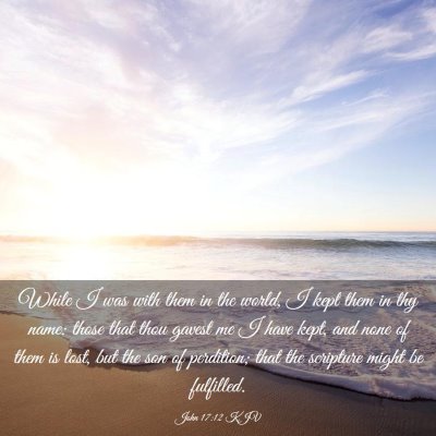 Picture 03 - John 17:12 KJV - While I was with them in the world, I kept them - Bible Verse Picture