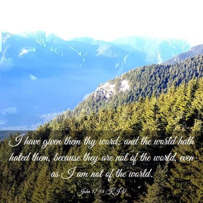 Picture 03 - John 17:14 KJV - I have given them thy word; and the world hath - Bible Verse Picture