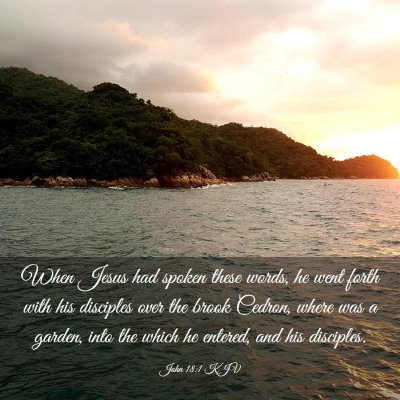 Picture 03 - John 18:1 KJV - When Jesus had spoken these words, he went forth - Bible Verse Picture