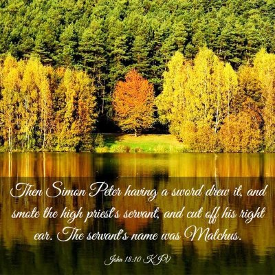 Picture 03 - John 18:10 KJV - Then Simon Peter having a sword drew it, and - Bible Verse Picture